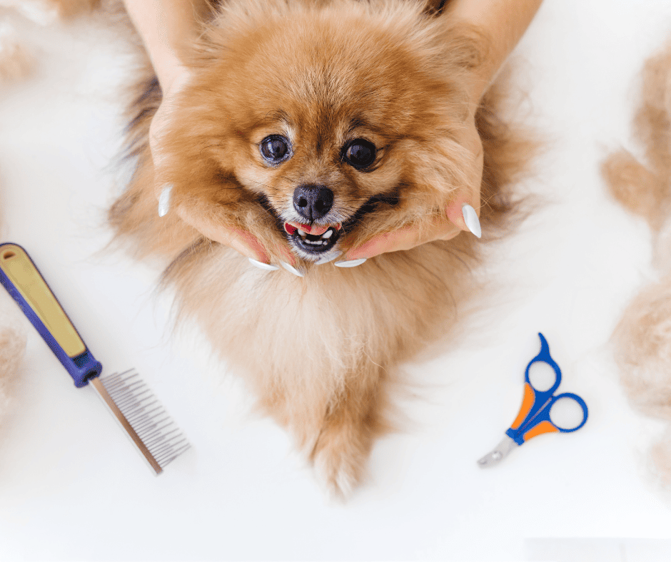 ตัดขนที่คลินิก